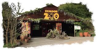 Exmoor Zoo- Family Attractions Exmoor